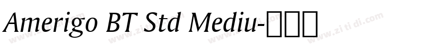 Amerigo BT Std Mediu字体转换